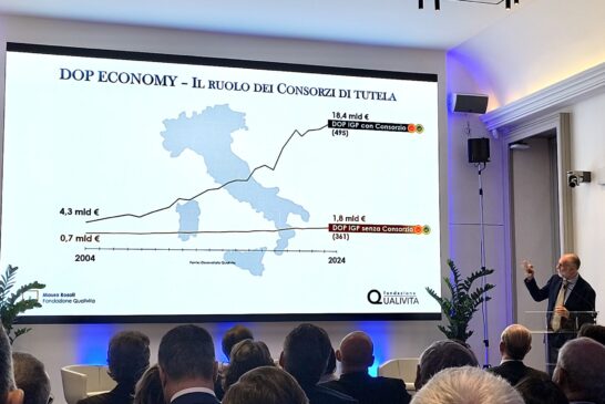 Studio Mediobanca: nel settore vinicolo vendite in calo e mercato più selettivo