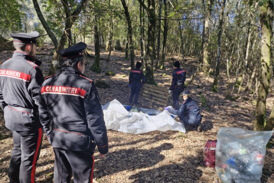 Monticiano: smantellato dai Carabinieri un bivacco di spacciatori nel bosco