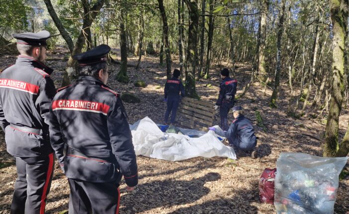 Monticiano: smantellato dai Carabinieri un bivacco di spacciatori nel bosco