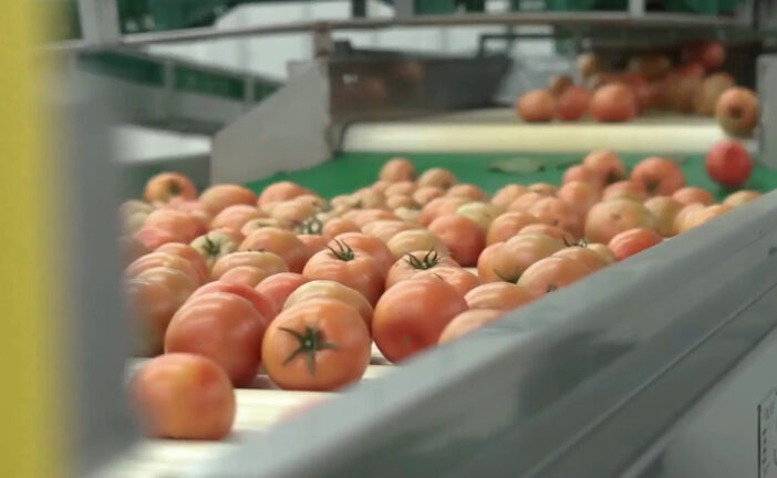 Agroalimentare, l’export traina il settore