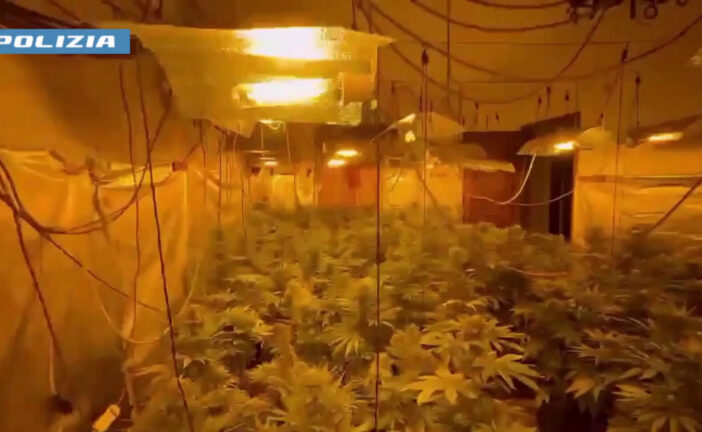 Serra indoor di marijuana scoperta nel Palermitano, arrestato un 19enne