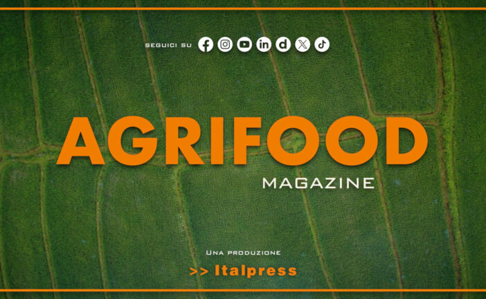 Agrifood Magazine – 20/5/2026