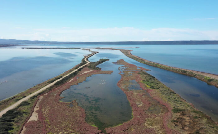 Zone umide a rischio, è allarme sulla biodiversità