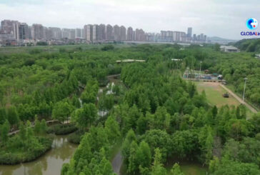 Cina, alla scoperta del modello di ripristino ecologico nel Jiangxi