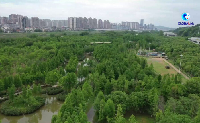 Cina, alla scoperta del modello di ripristino ecologico nel Jiangxi