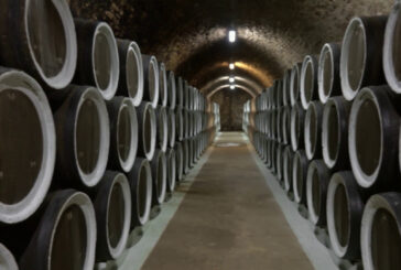 Vino, export mondiale da record ma pesano i dazi Usa