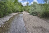 Cb6: manutenzione ordinaria sul torrente Crevole