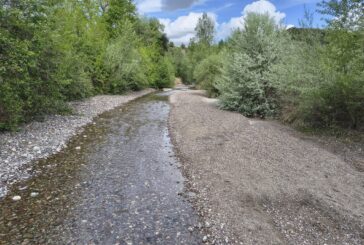 Cb6: manutenzione ordinaria sul torrente Crevole