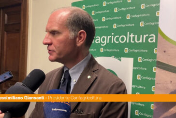 Giansanti "Per l'oliva da tavola una dimensione di mercato importante"