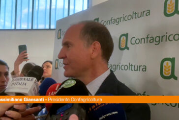 Agricoltura, Giansanti "Con blocco Hormuz peggiore crisi degli ultimi 100 anni"