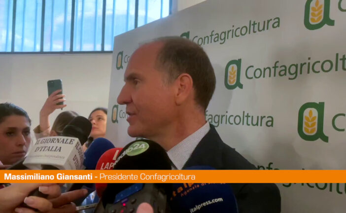 Agricoltura, Giansanti "Con blocco Hormuz peggiore crisi degli ultimi 100 anni"