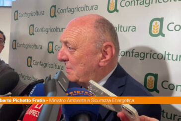 Dl bollette, Pichetto "Modifiche? Valuteremo in base a condizioni"