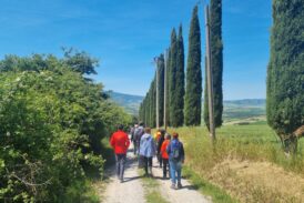 Cb6: la Settimana della Bonifica sbarca a Siena e provincia