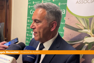 Moreschini "Con Efoi risultato storico per il comparto olive da tavola"