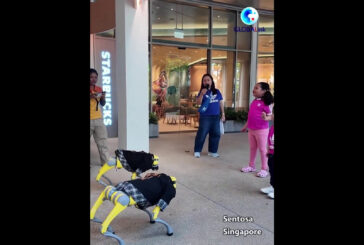 A Singapore cani robot cinesi intrattengono i turisti