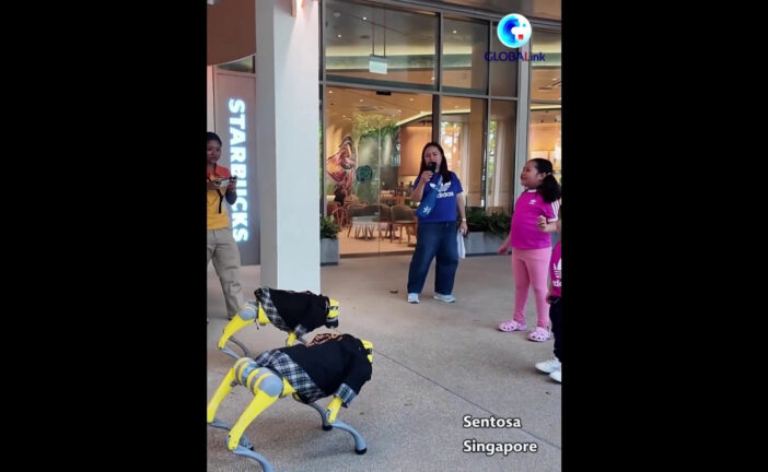 A Singapore cani robot cinesi intrattengono i turisti