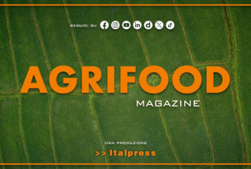 Agrifood Magazine – 27/5/2026