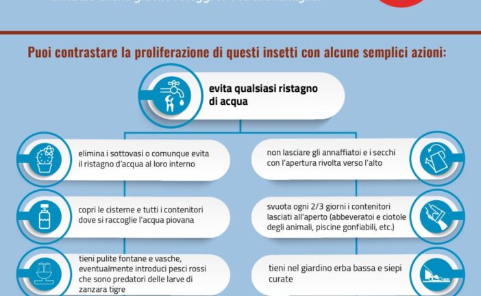 Lotta alla zanzara, pubblicata ordinanza con disposizioni utili per prevenire i focolai