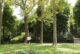 Estate 2026 al Parco Acqua Santa: uno spazio vivo di cultura e socialità