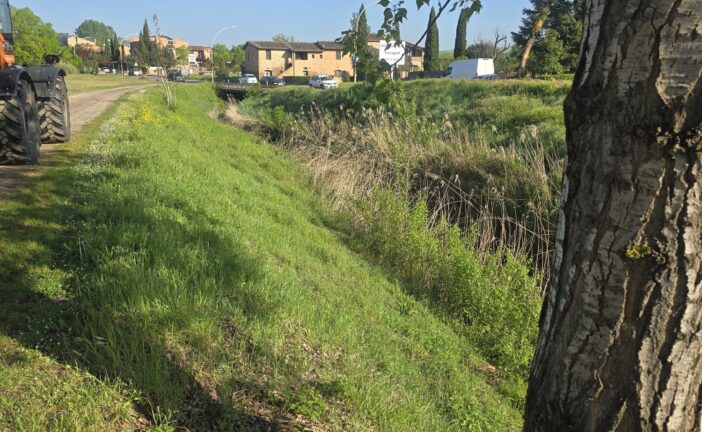 CB6: manutenzione ordinaria sulla gora Monteroni