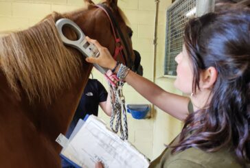 Impegno dei veterinari dell’Asl Tse per il Palio di luglio