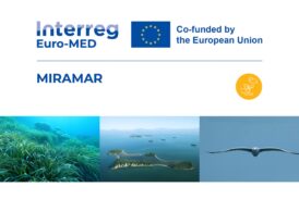 Giornata mondiale degli Oceani: il progetto “Miramar” su Rai Casa Italia
