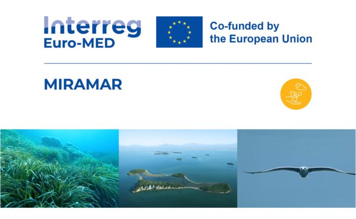 Giornata mondiale degli Oceani: il progetto “Miramar” su Rai Casa Italia