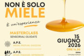 “A regola d’ape: miele a Siena”: due masterclass sensoriali al SMS