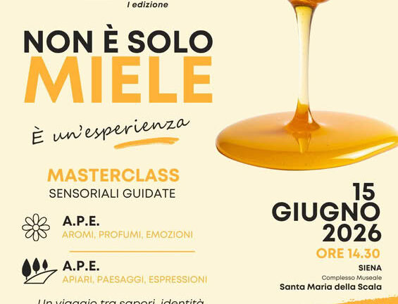 “A regola d’ape: miele a Siena”: due masterclass sensoriali al SMS
