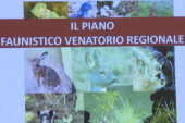 Castelnuovo Berardenga: incontro pubblico sul Piano Faunistico Venatorio Regionale