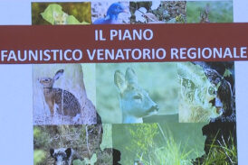 Approvato il Piano faunistico venatorio regionale. I commenti