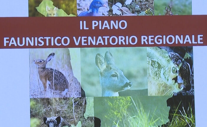 Approvato il Piano faunistico venatorio regionale. I commenti
