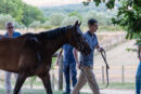 Fotogallery delle visite al Ceppo