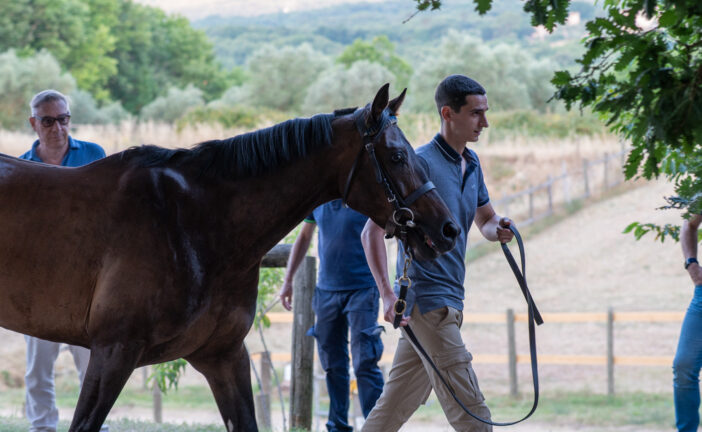 Fotogallery delle visite al Ceppo