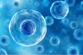 Mononucleotide di nicotinamide: benefici e ruolo nella vitalità cellulare