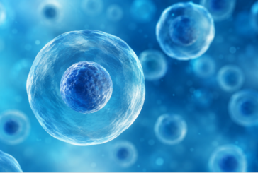 Mononucleotide di nicotinamide: benefici e ruolo nella vitalità cellulare