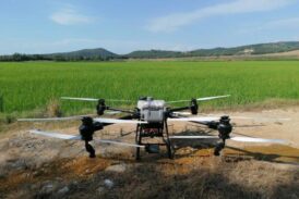 Un pacifico drone vola su Vertine