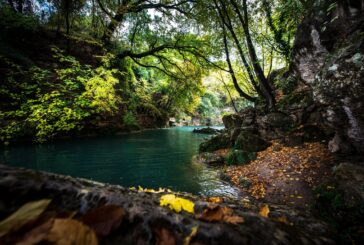 Il Parco dell’Elsa si trasforma in Sito della Rete Natura 2000