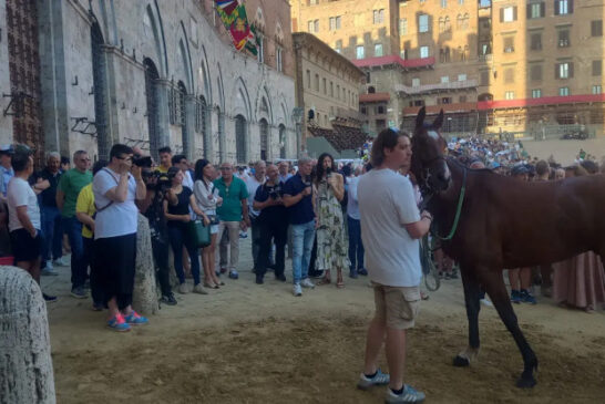 Palio: 34 i cavalli presentati alla tratta. Forfait di Dorotea Dimmonia