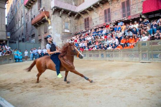 Palio: 101 cavalli ammessi alle prove regolamentate