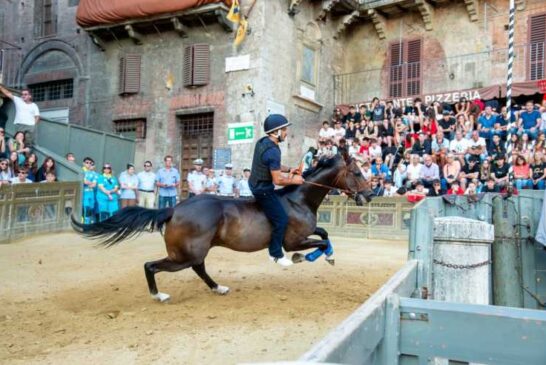 Palio del 2 luglio: il programma delle prove regolamentate