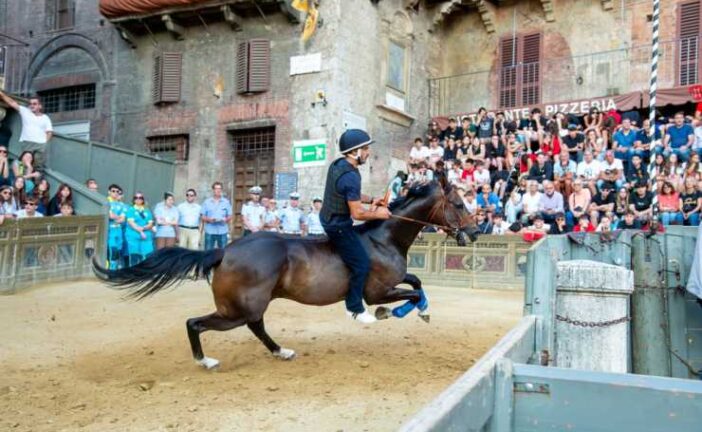 Palio 16 agosto: il programma delle prove regolamentate