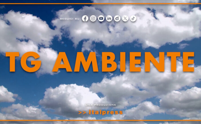 Tg Ambiente – 21/6/2026