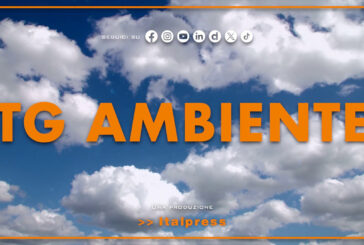 Tg Ambiente – 31/5/2026
