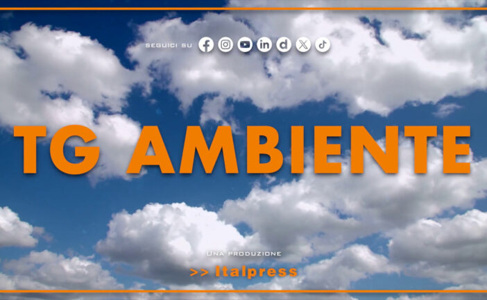 Tg Ambiente – 31/5/2026