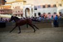 Palio: il Bruco scosso vince la terza prova