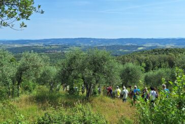 Alla scoperta delle mura di Bacìo: famiglie in cammino tra storia e natura