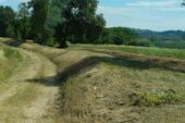 Manutenzione ordinaria sul torrente Rigo 3 a Sovicille