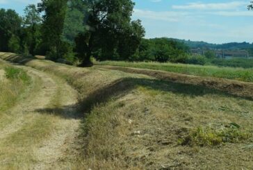 Manutenzione ordinaria sul torrente Rigo 3 a Sovicille