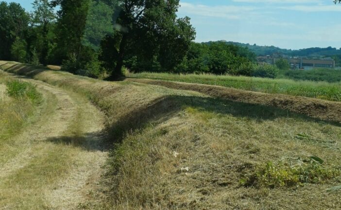Manutenzione ordinaria sul torrente Rigo 3 a Sovicille